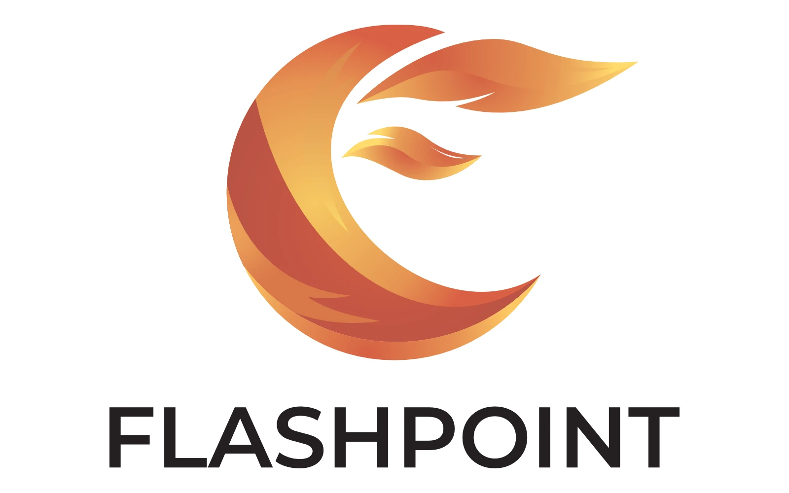 Flashpoint Ignite