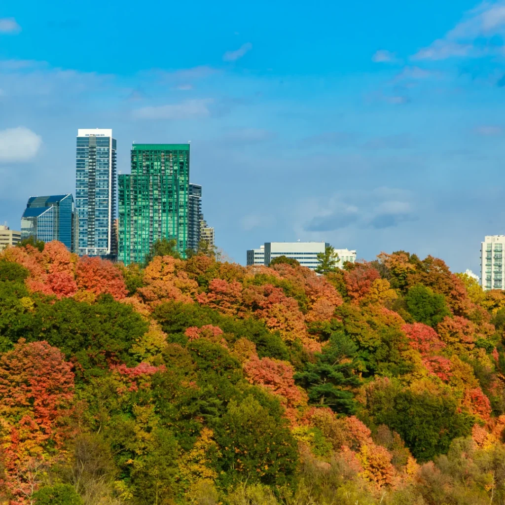 Flashpoint Ignite - North York Toronto 1080px